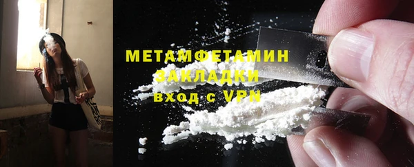 прущие грибы Горно-Алтайск