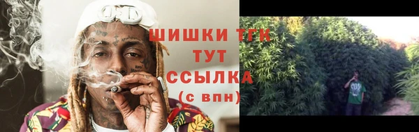 прущие грибы Горно-Алтайск