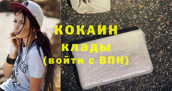 не бодяженный Гусев