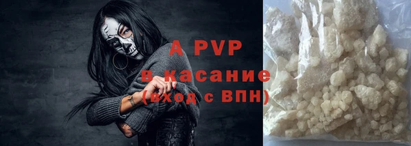 прущие грибы Горно-Алтайск