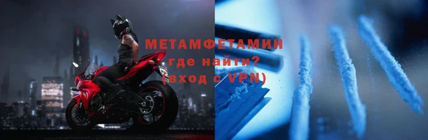 прущие грибы Горно-Алтайск