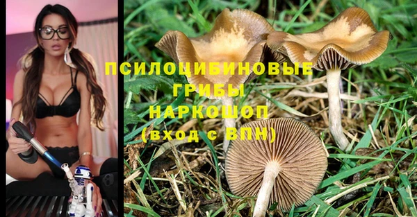 альфа пвп Зарайск