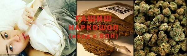прущие грибы Горно-Алтайск