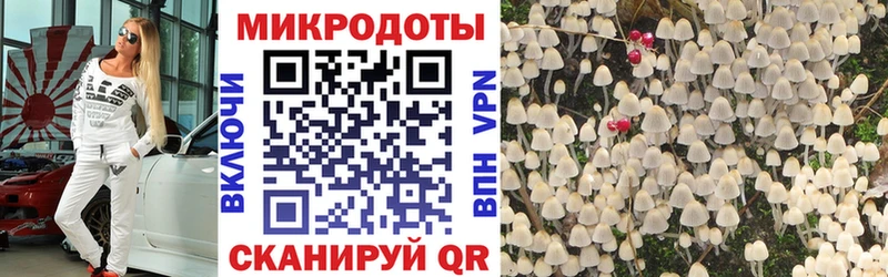 блэк спрут онион  Дмитриев  Галлюциногенные грибы прущие грибы 
