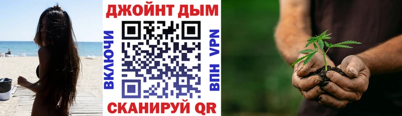 Марихуана планчик  Дмитриев 